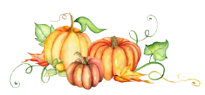 Three fall pumpkins