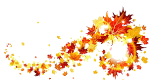 Fall leaves in a wind swirl